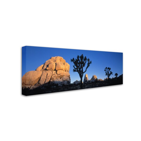 David Evans 'First Light-Joshua Tree NP' Canvas Art,8x24